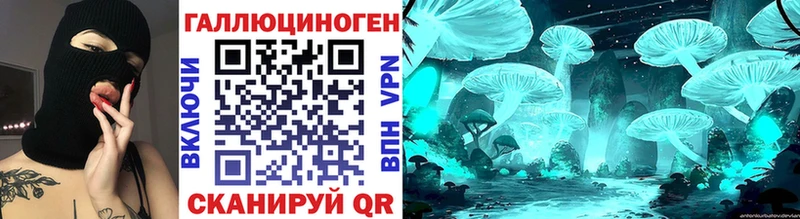 дарк нет как зайти  где можно купить наркотик  Красный Сулин  Псилоцибиновые грибы Psilocybe 