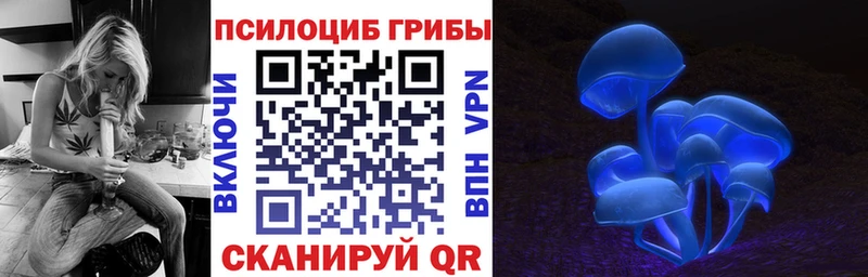 Псилоцибиновые грибы GOLDEN TEACHER Красный Сулин