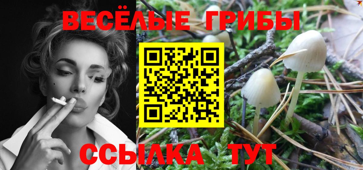 Галлюциногенные грибы прущие грибы Красный Сулин