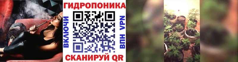 Шишки марихуана Bruce Banner Красный Сулин